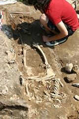 Archéologue