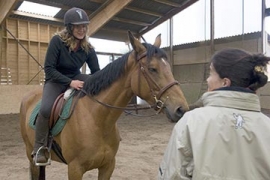 comment devenir prof d equitation