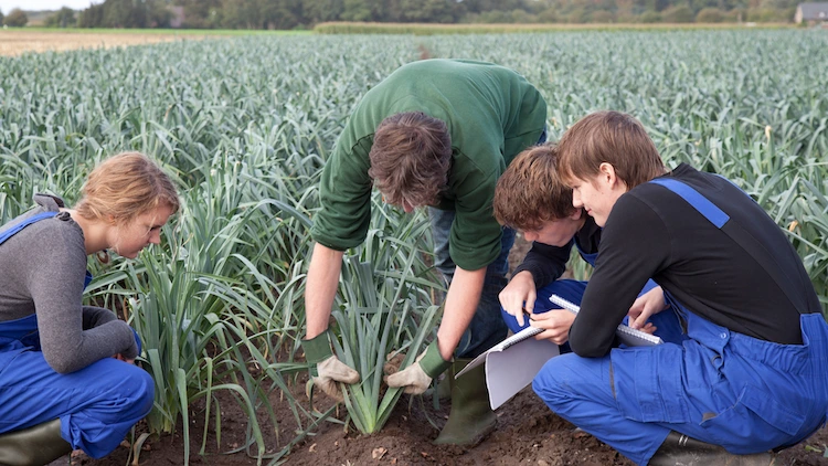 L’enseignement agricole attire de nouveaux profils