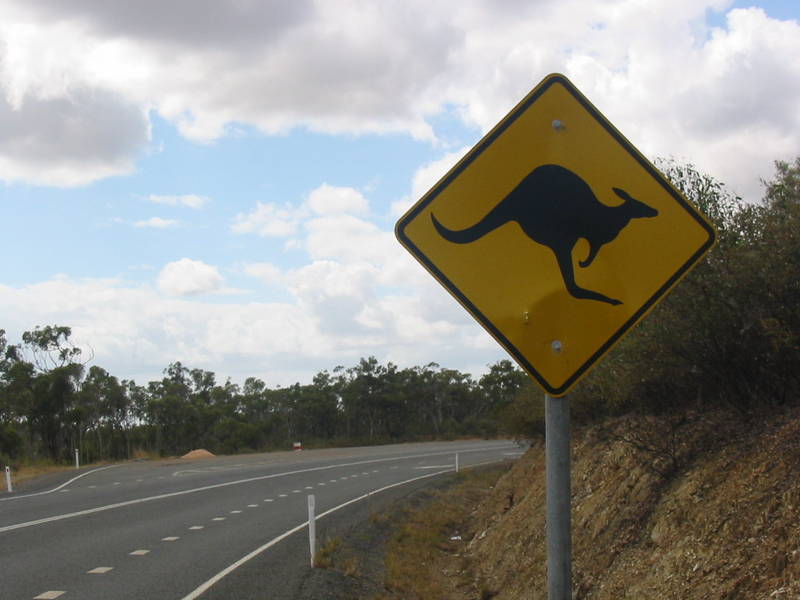 panneau kangourou