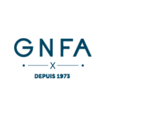 GNFA, secteur automobile 