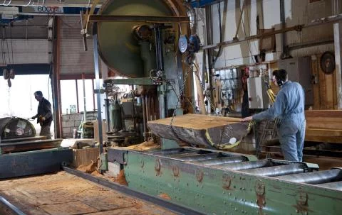 Conducteur / Conductrice de portique de scierie