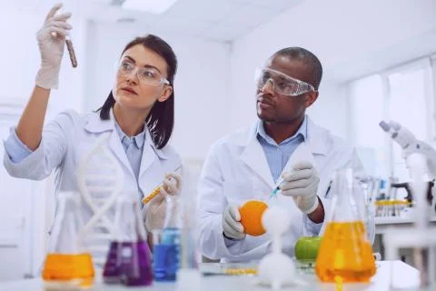 Chercheur / Chercheuse