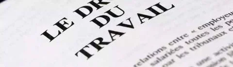 Contrôleur / Contrôleuse du travail