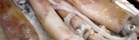 Employé / Employée de marée