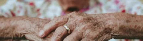 Juge des contentieux de la protection - JCP