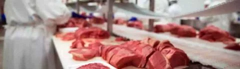 Ouvrier /  Ouvrière d'abattoir