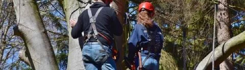 Opérateur / Opératrice accrobranche