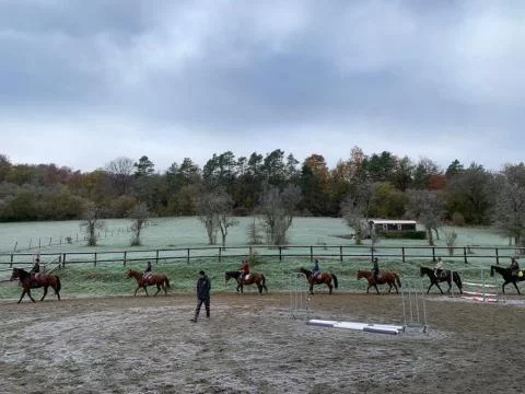 Monitrice d'équitation / Moniteur d'équitation