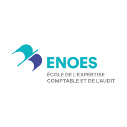 logo enoes