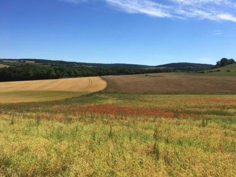 Chef / Cheffe d’exploitation agricole