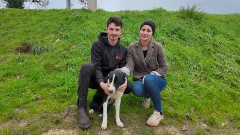 Tondeur de moutons : salaire, formation et quotidien d'un métier d’avenir