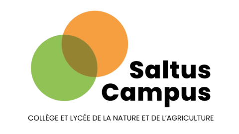 logo saltus