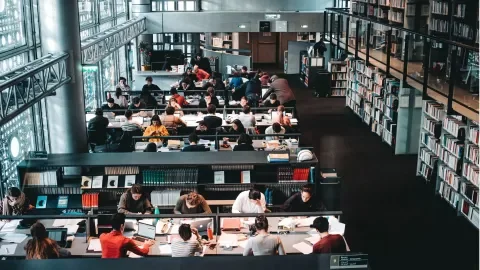 Étudiants dans une bibliothèque universitaire