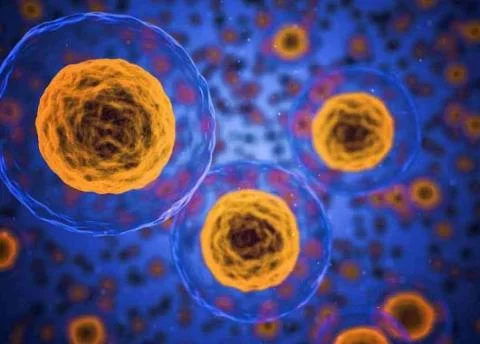 BTS BM – Biologie médicale