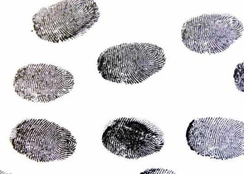 fingerprint-456486_1920_Pixabay_0.jpg