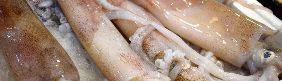 Employé / Employée de marée