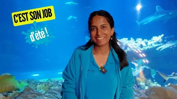 Anuseya, hôtesse d’accueil