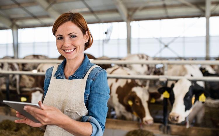 Le bachelor agro, nouveau diplôme national avec un grade de licence forme des futurs exploitants agricoles.