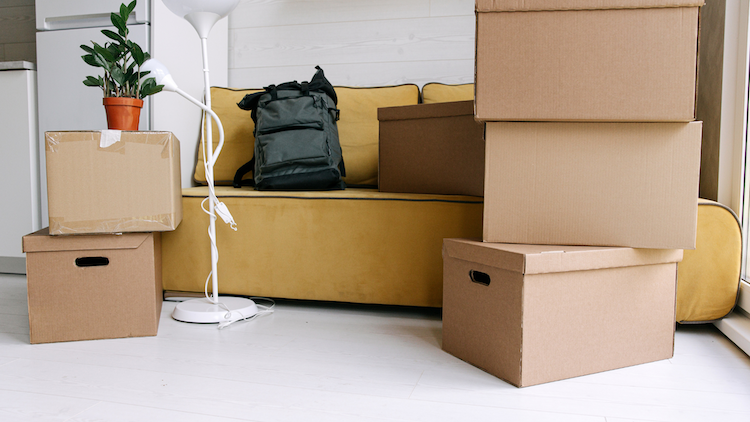 logement étudiant galère plateforme aide